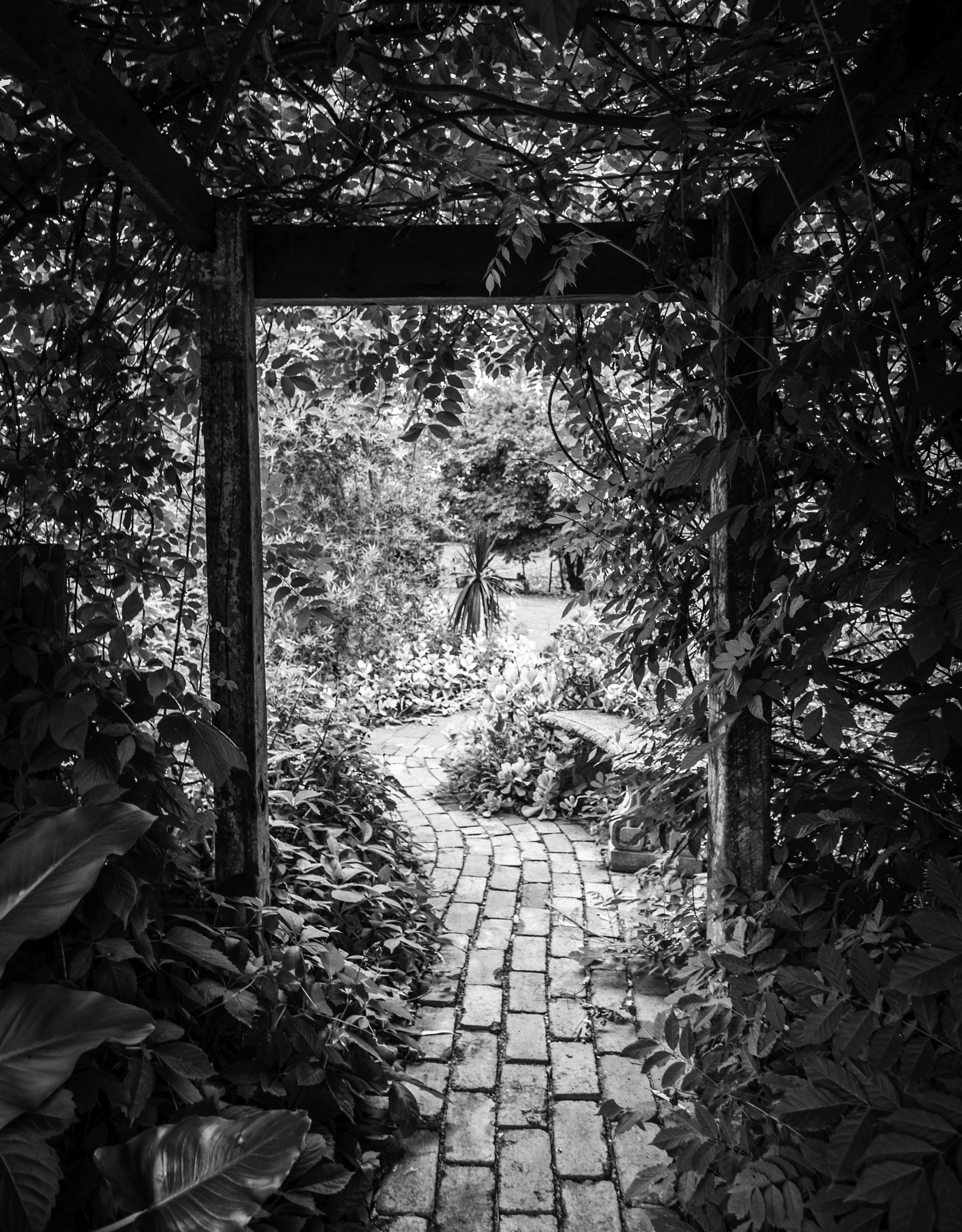 Black and white photograph of a beautiful garden path